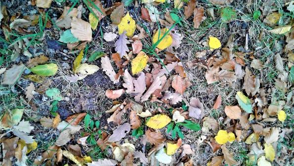 Malermeister Herbst